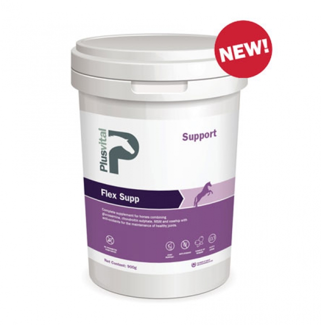 flex-supp_large988694_650
