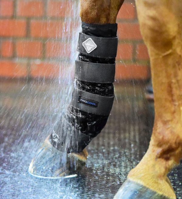 LE MIEUX COLD WATER BOOTS
