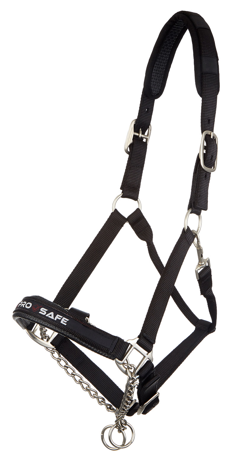 LE MIEUX PRO SAFE HEADCOLLAR