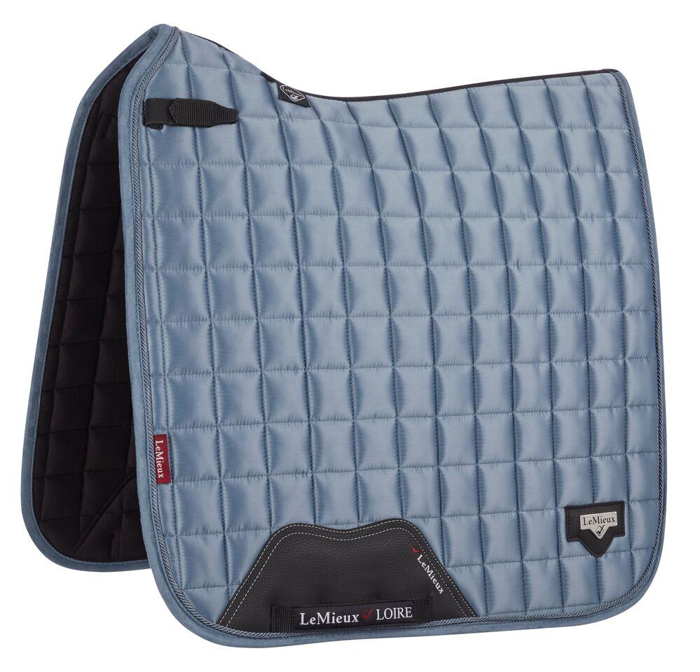 LOIRE DRESSAGE