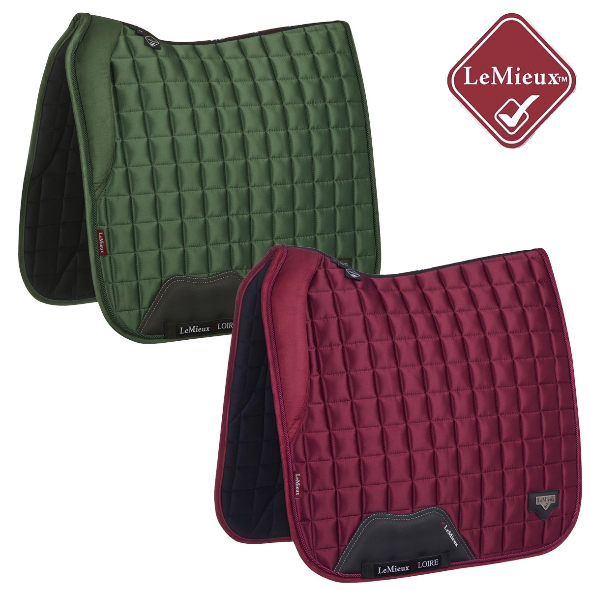 aw19_loire_m_dressage_3