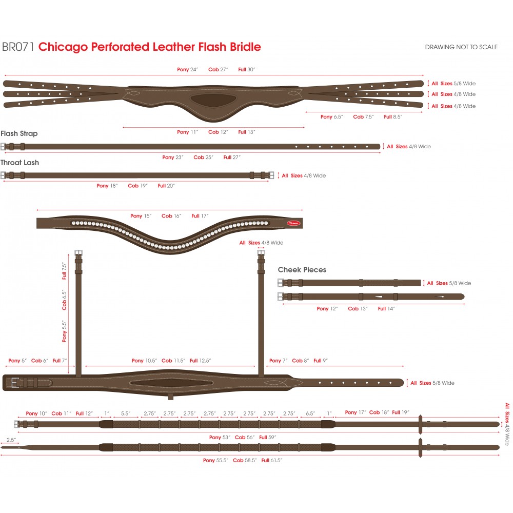 BR071-Chicago-Bling-Bridle-Size-Chart-1000x1000
