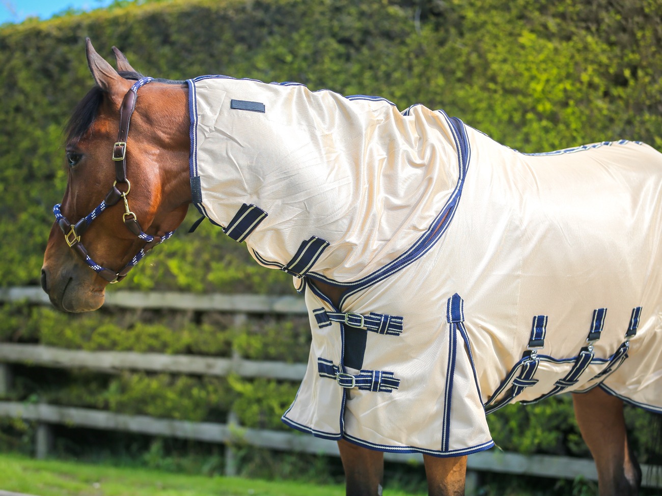 fly rug 2