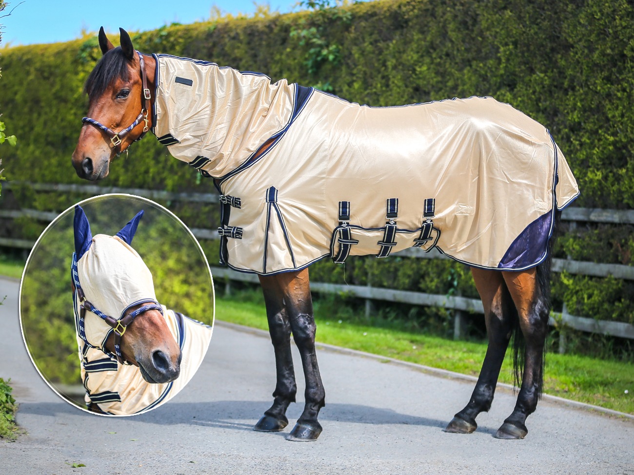 fly rug