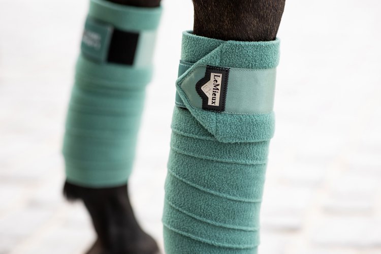 loire bandages