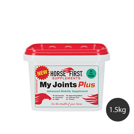 my joint plus p2