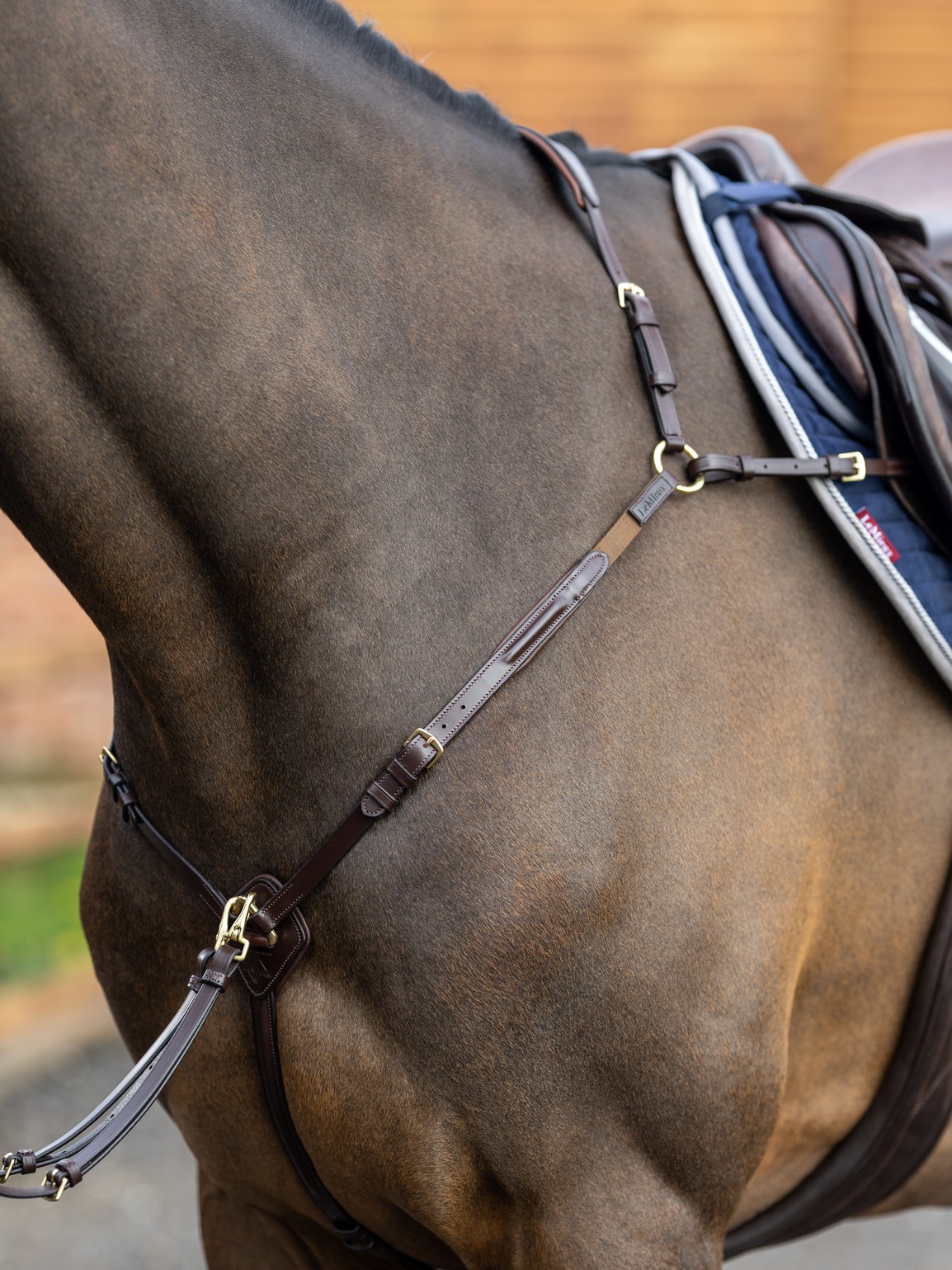 breastplate havana 1