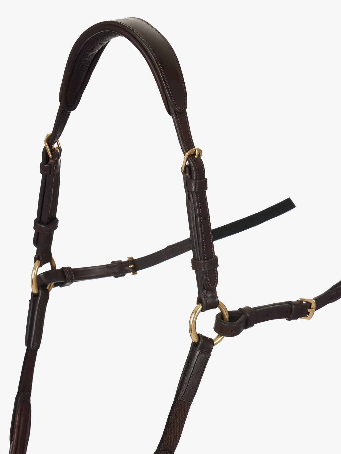 breastplate havana 5
