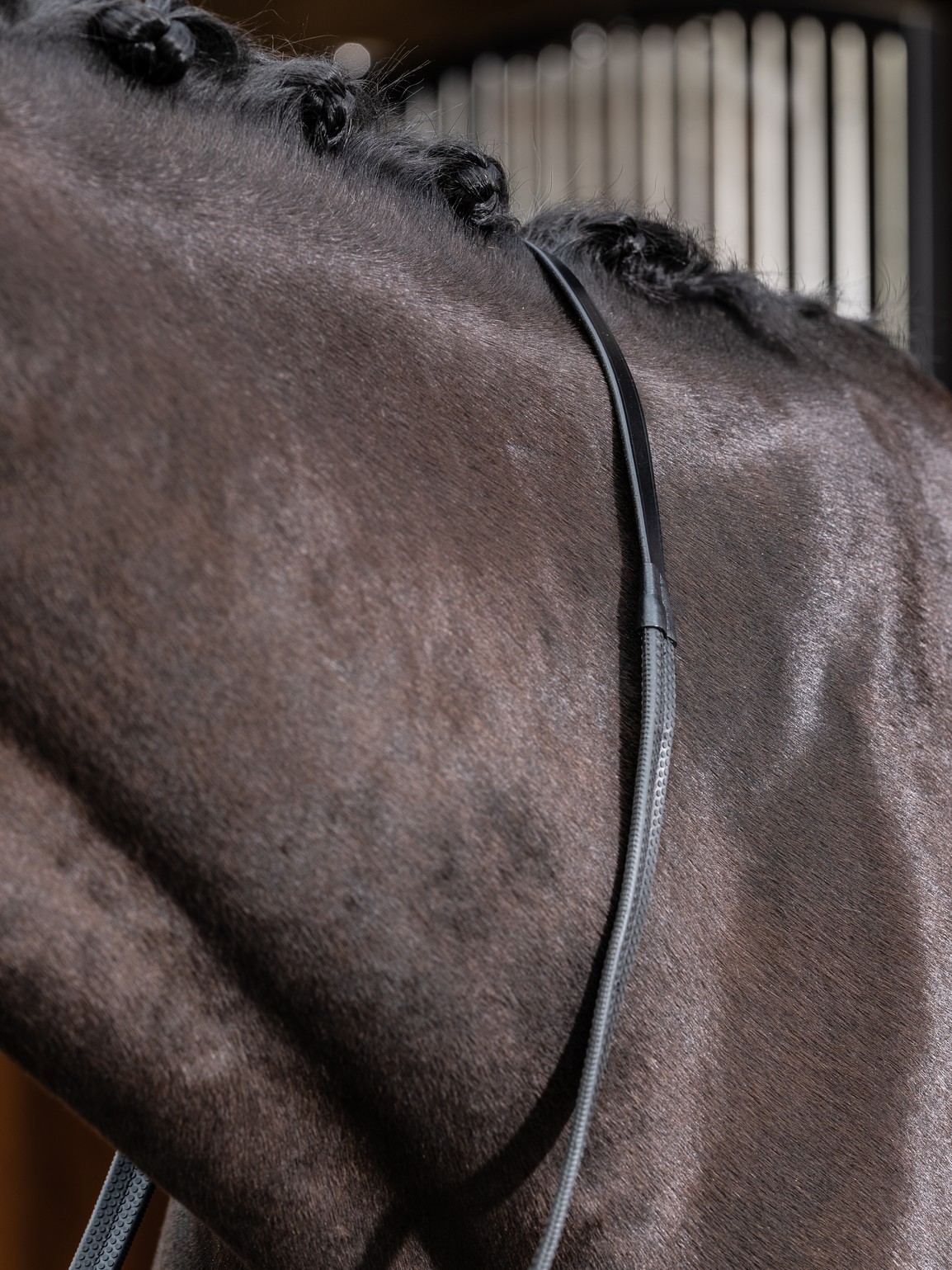 rubber reins black