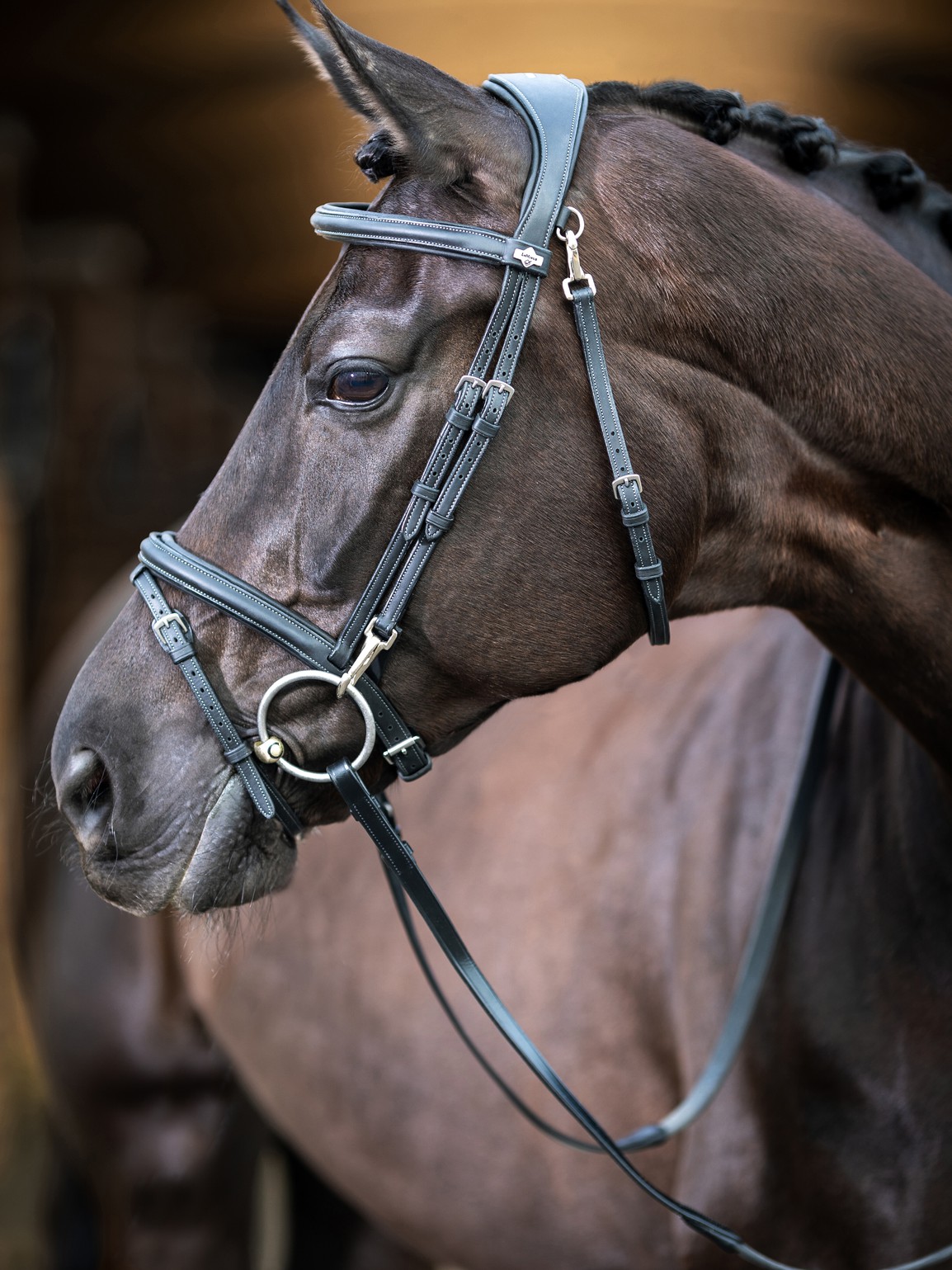 work bridle black 1