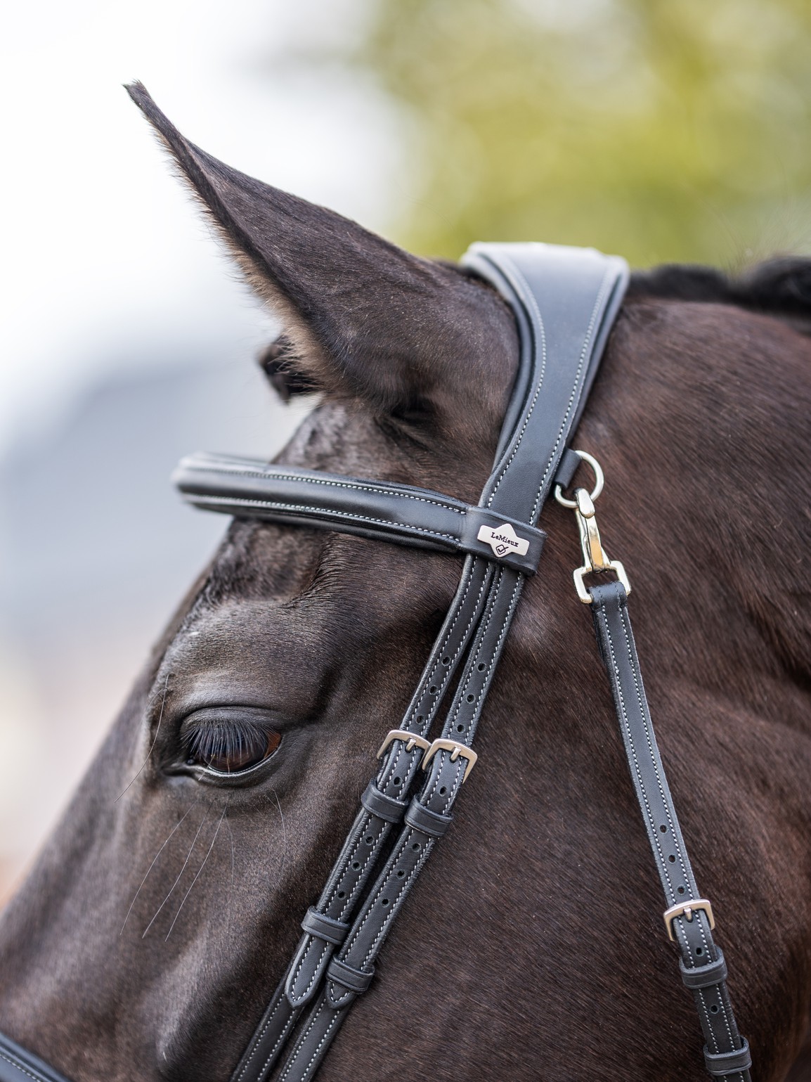 work bridle black 2