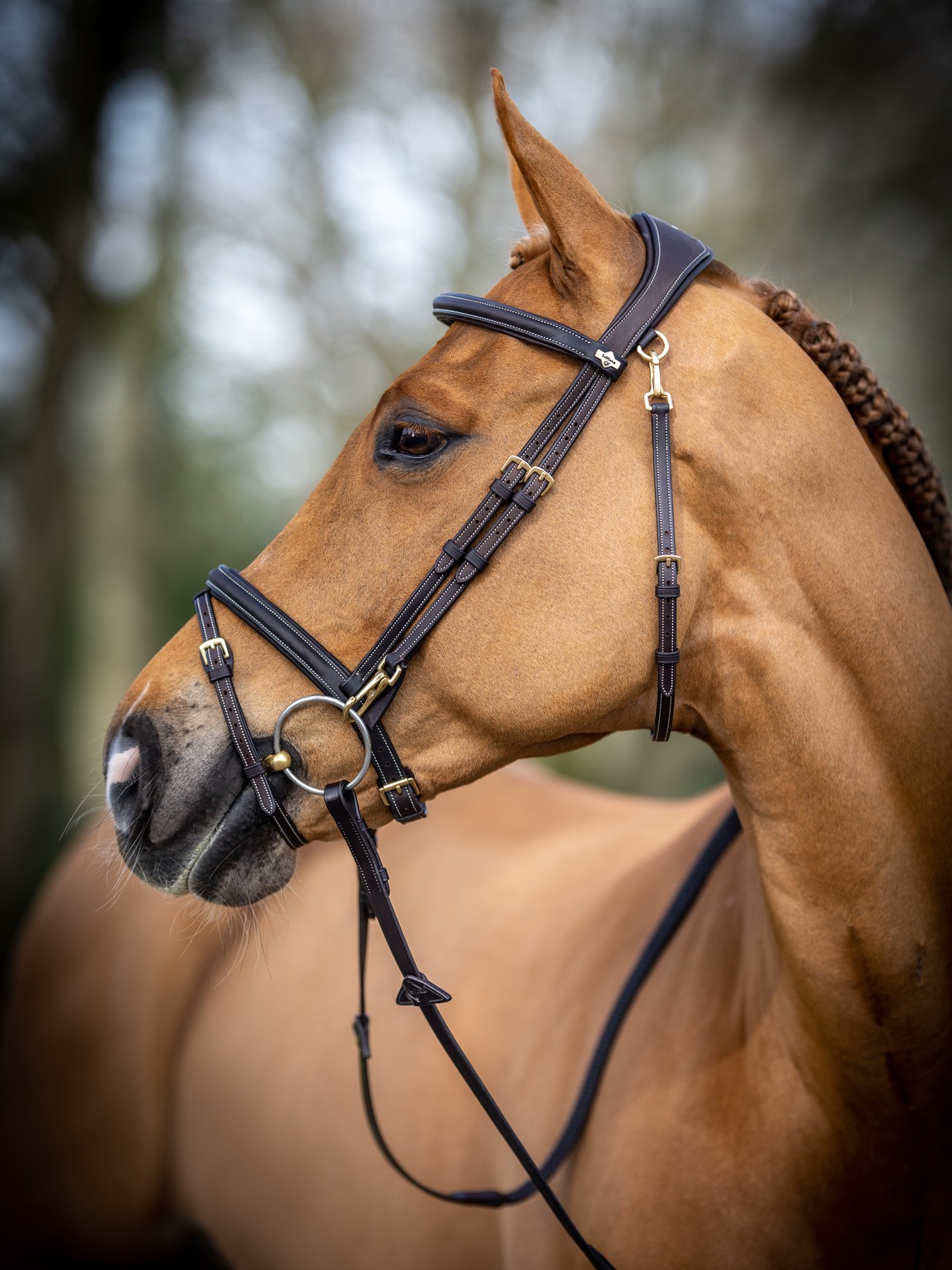 work bridle brown 2