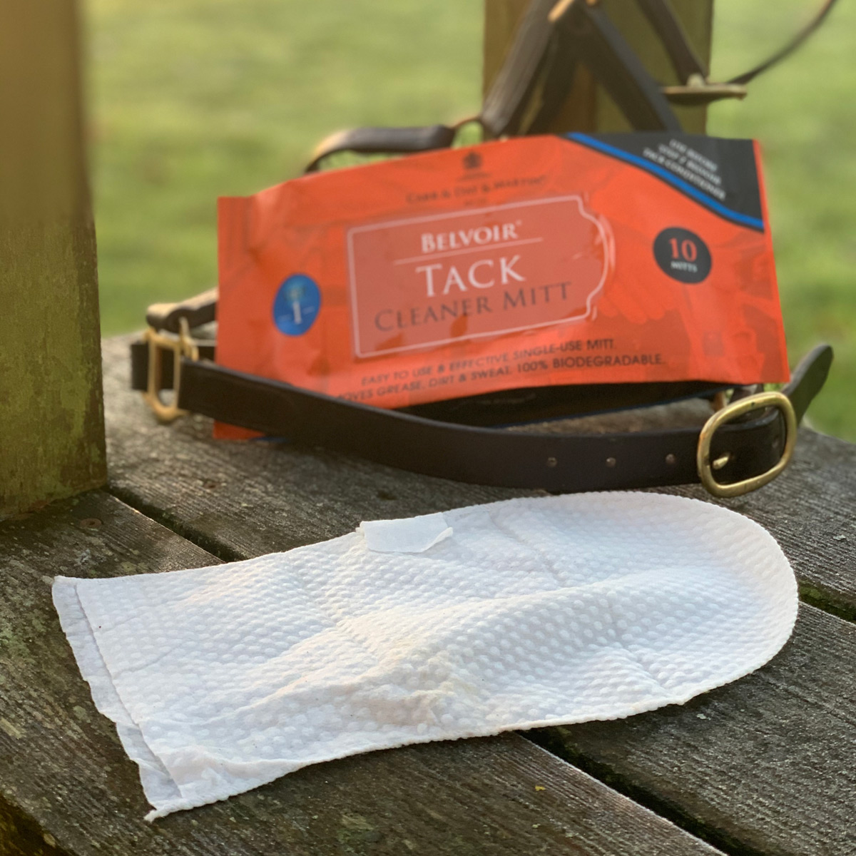 cardm_belvoir_tack_mitt02