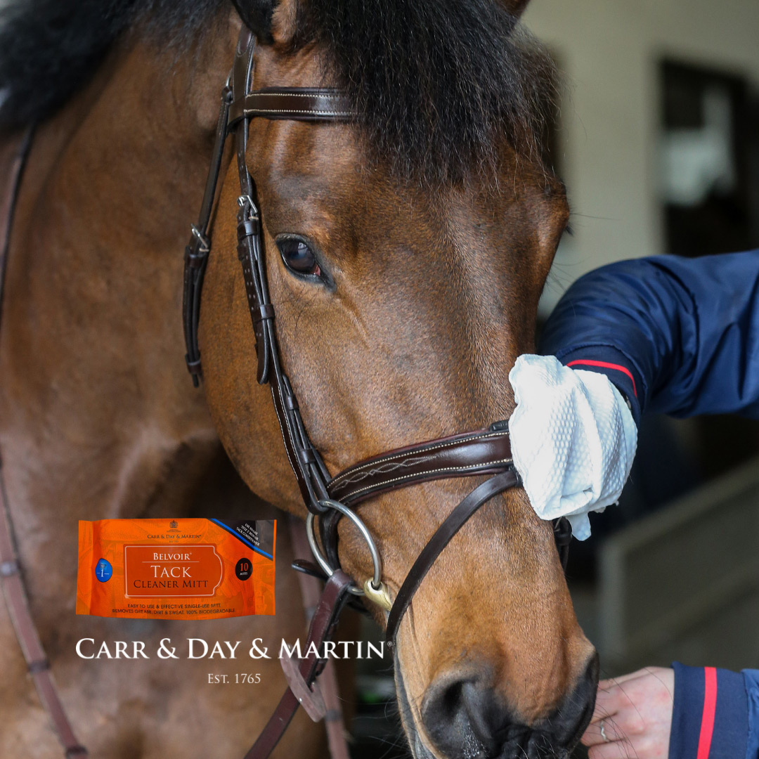 cardm_belvoir_tack_mitt03