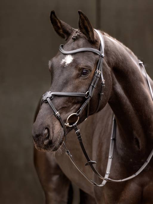 grackle_bridle_black