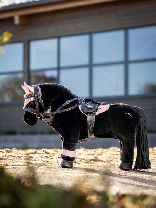 it03289_lifestyle_toyponypad_pinkquartz_1