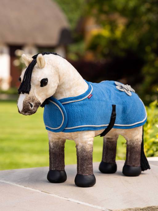 it03299_lifestyle_toyponyrug_paciffic_1