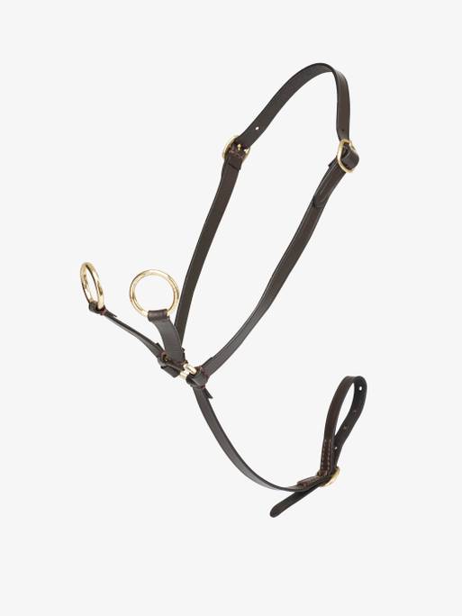 lm-aw23-toypony-martingale-brown-hr