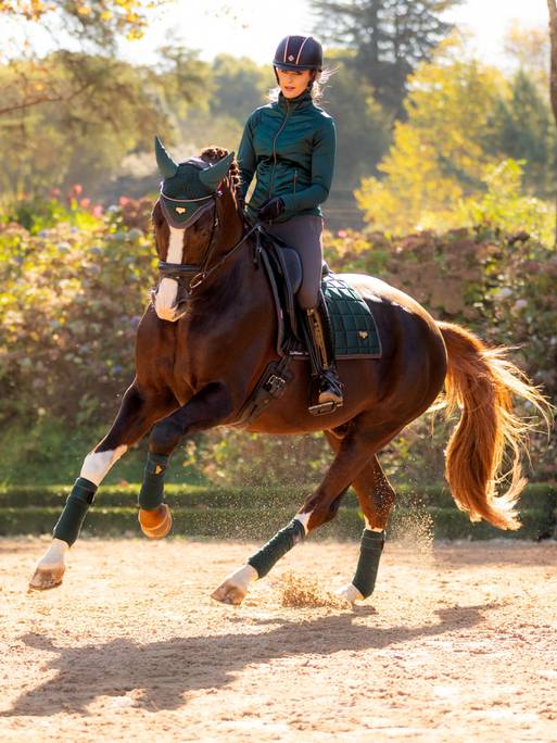 it03276_lifestyle_loireclassicdressagesquare_spruce_13-pt_1