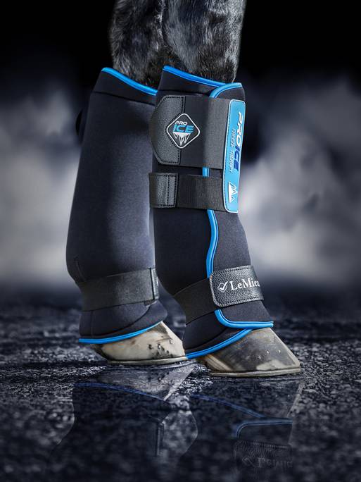 lm-proiceboots1-hr