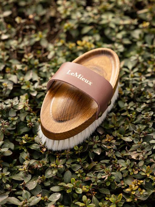 it03797_lifestyle_artisansoftgoatshairbrush_brown_1