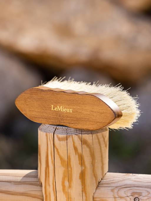 it03800_lifestyle_deepcleaningdandybrush_brown_2_copy_1