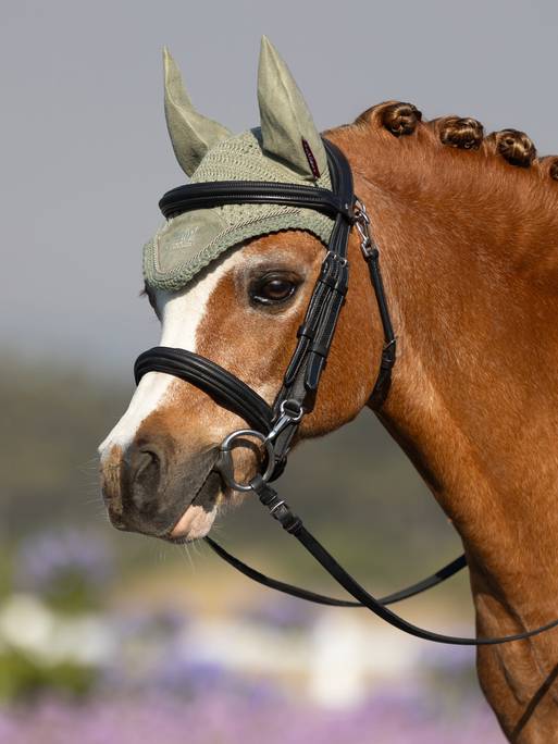 it04110_lifestyle_miniflyhood_fern_3-pt