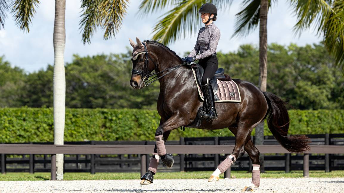 it04641_lifestyle_merinoloireclassicdressagesquare_walnut_5