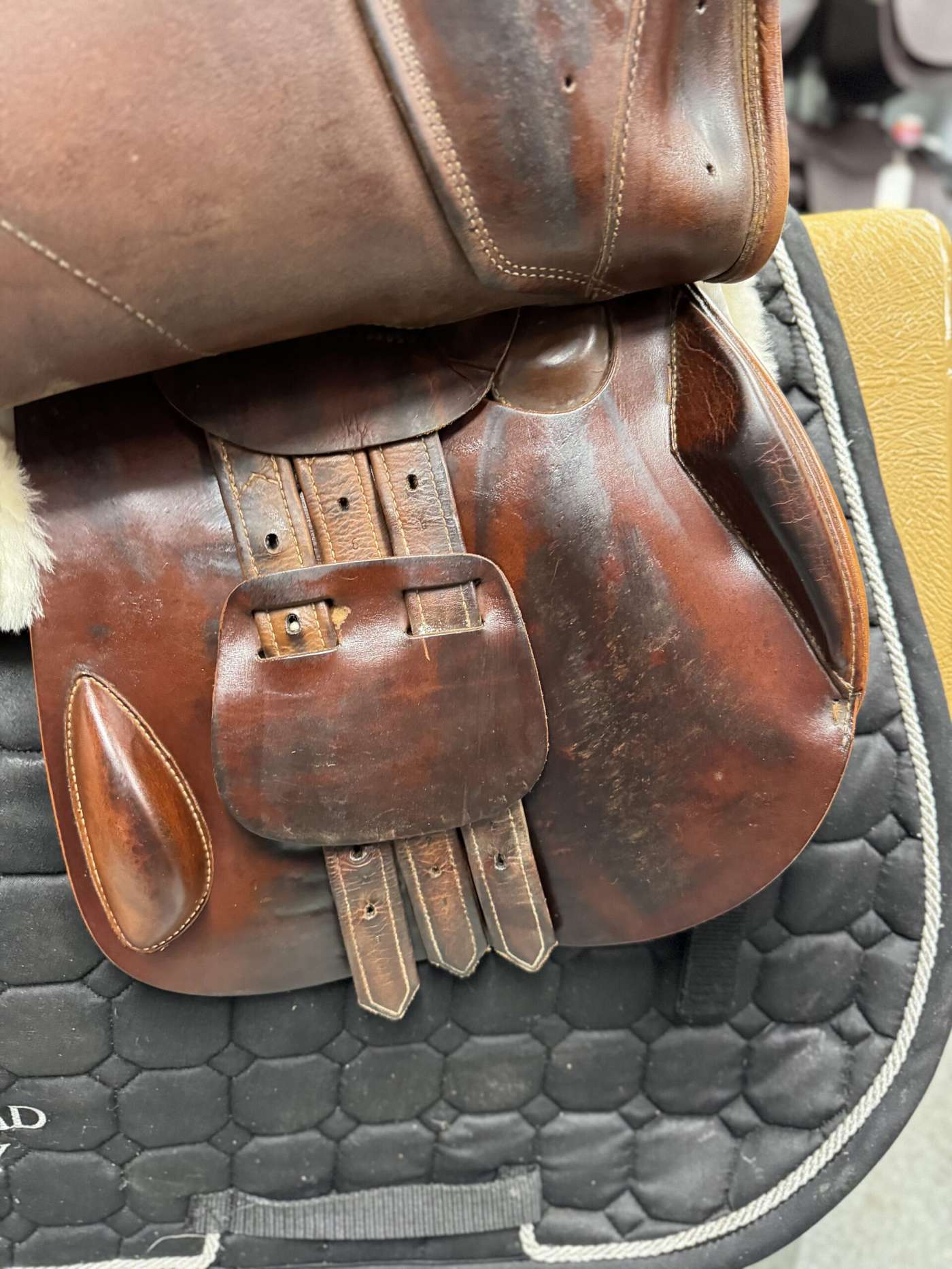 IMG_2942