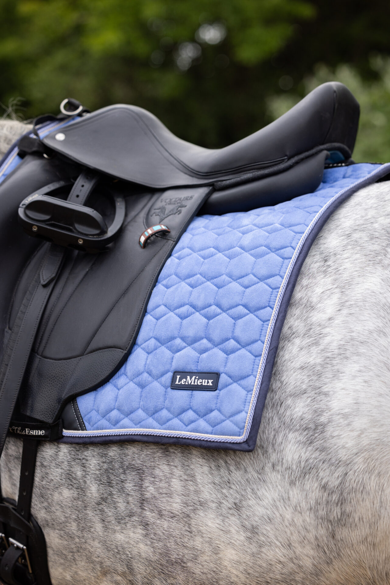 IT04757_lifestyle_esmedressagepad_cornblue_2