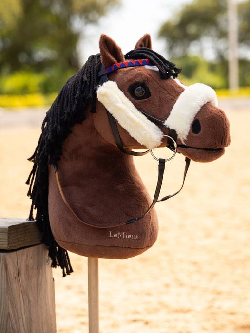 it04383_lifestyle_hobbyhorse_chancer_1