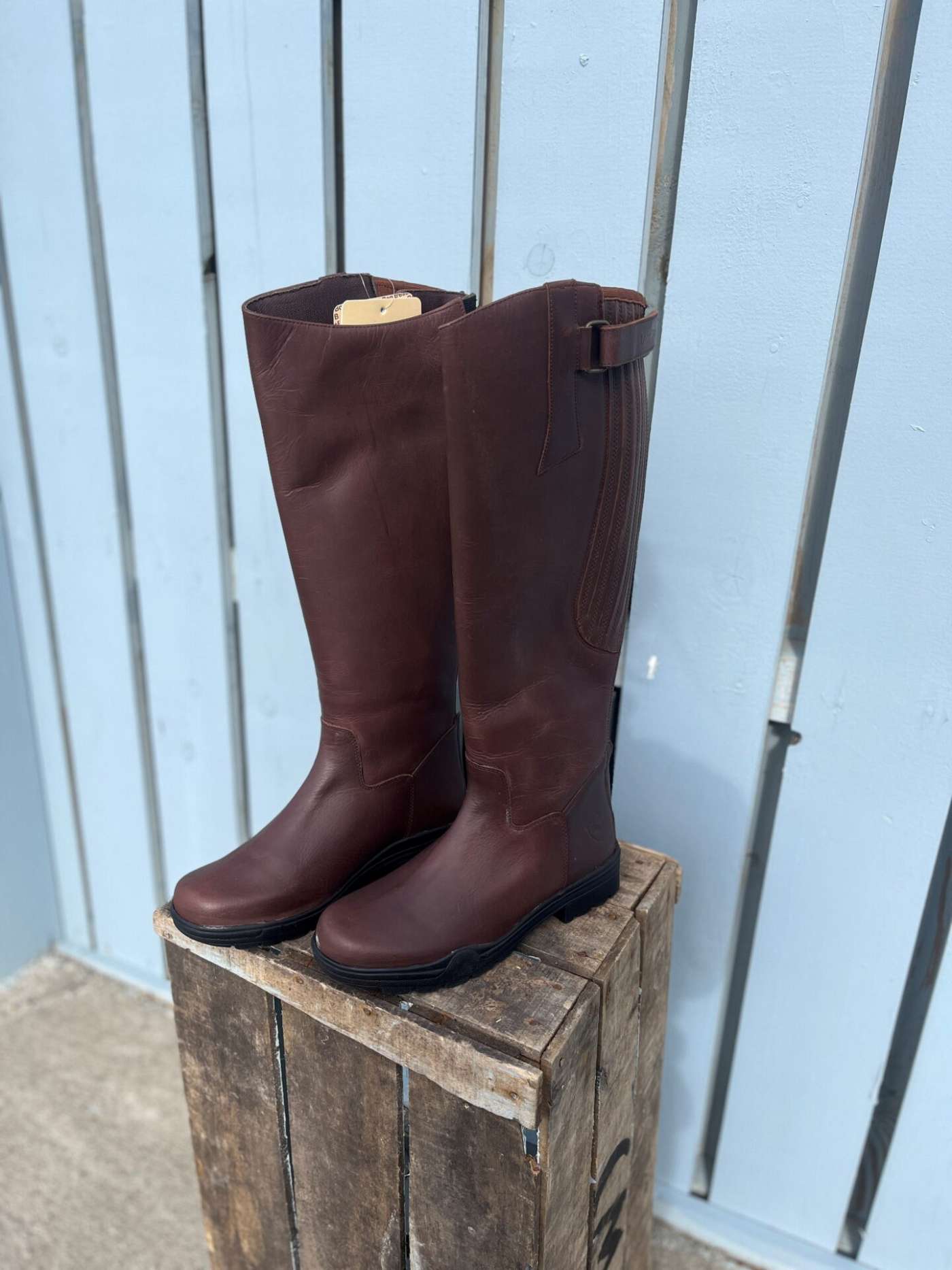 brown1