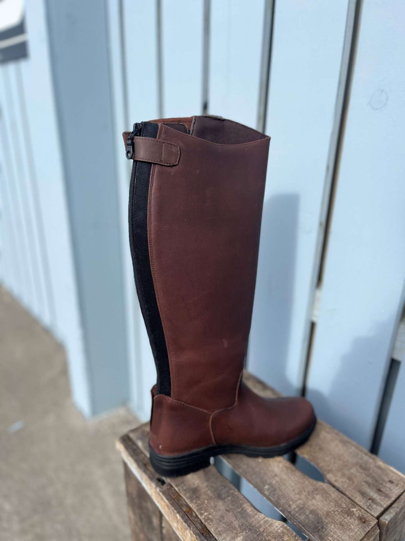 brown4